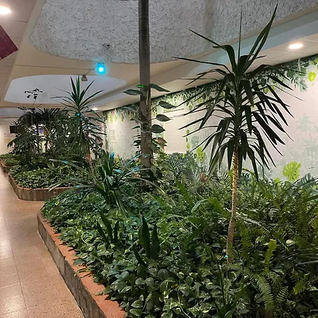 5 Min Walk From Yumbo 216